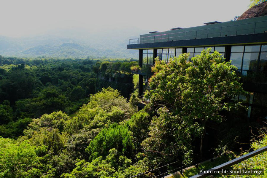 Dambulla & Kandalama - Sri Lanka