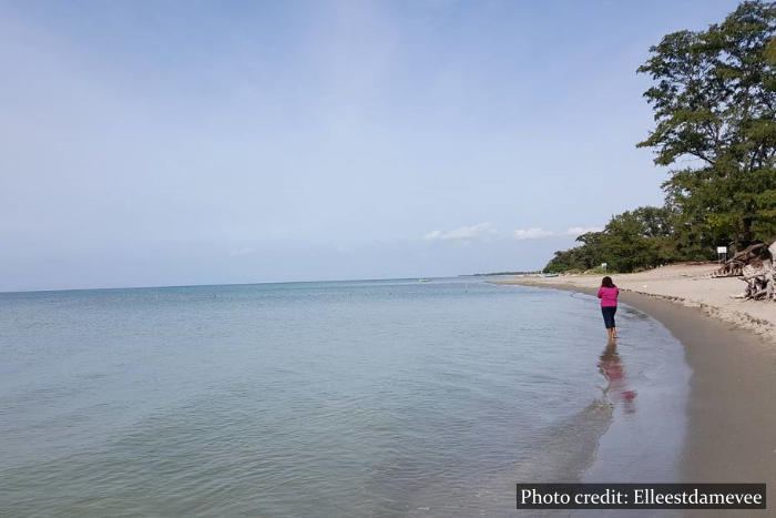 Casuarina Beach Jaffna Sri Lanka