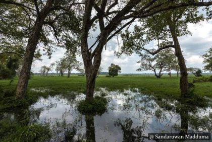 Laugala National Park