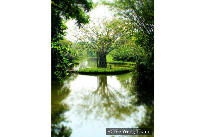 Bawa Lunuganga Garden - Bentota