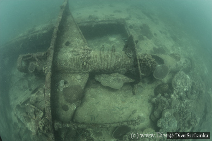 SS Brennus - Scuba Dive Site - Batticaloa