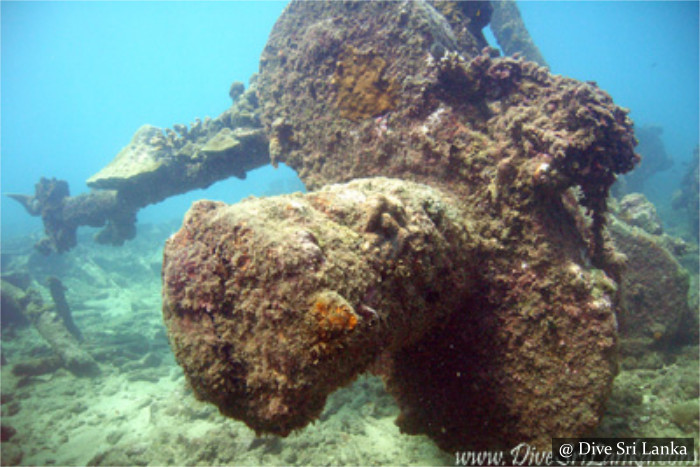 SS Brennus - Scuba Dive Site - Batticaloa