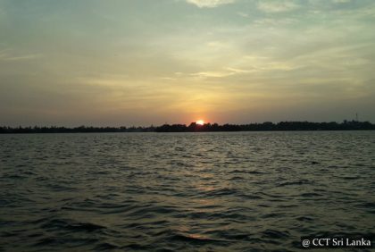 Lake Fishing in Bolgoda Lake Sri Lanka