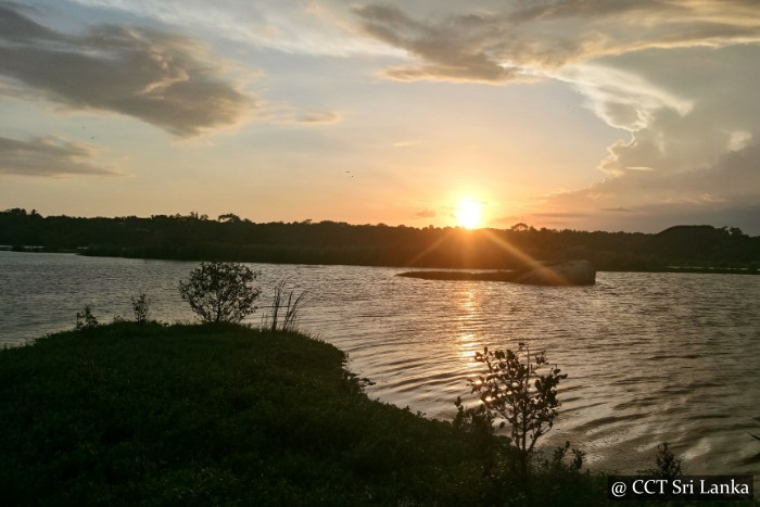 Bird Watching - Kalametiya Lagoon