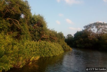 Kokkilai Lagoon Sri Lanka