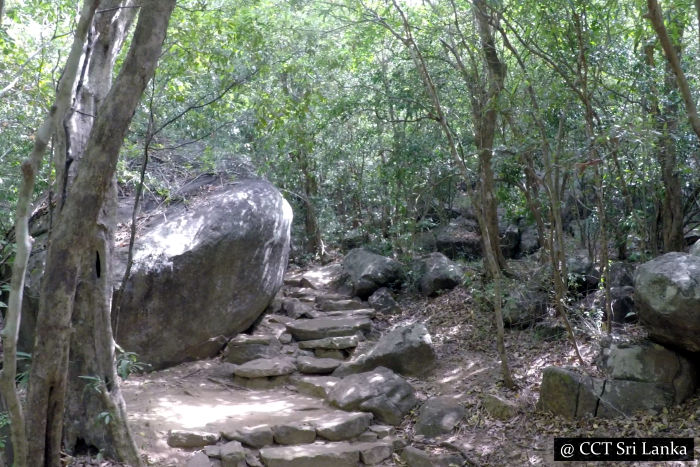 Dimbulagala Namal Uyana Archaeological Site