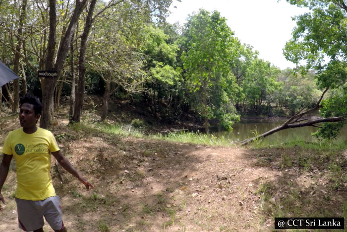 Dimbulagala Namal Uyana Archaeological Site