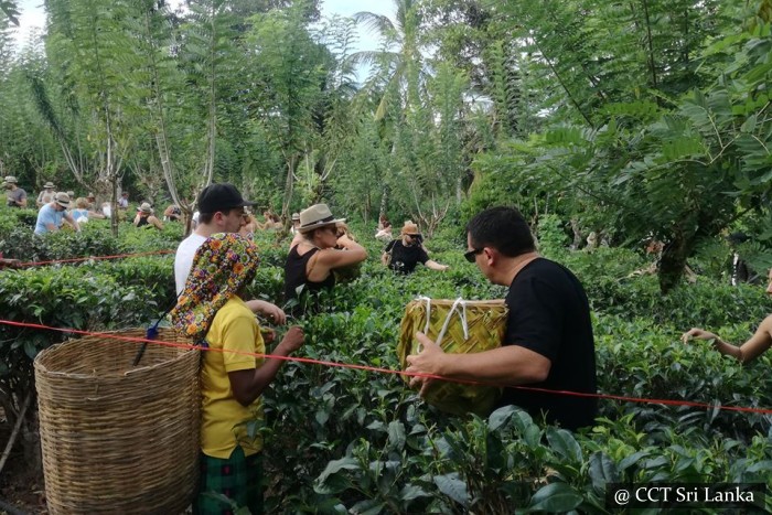 Handunugoda Tea Estate