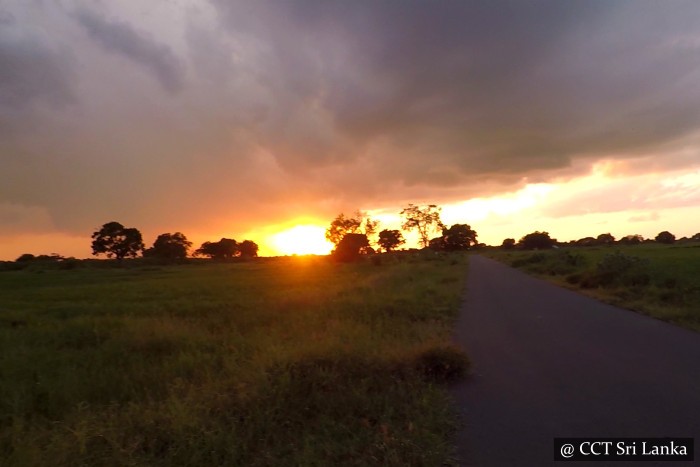 Sunset Mannar