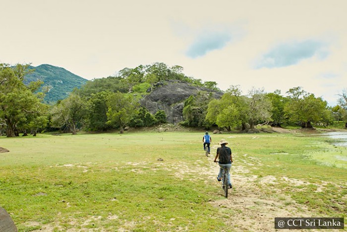 Guided cycling tour across rural villages, wild nature and isolated ancient ruins