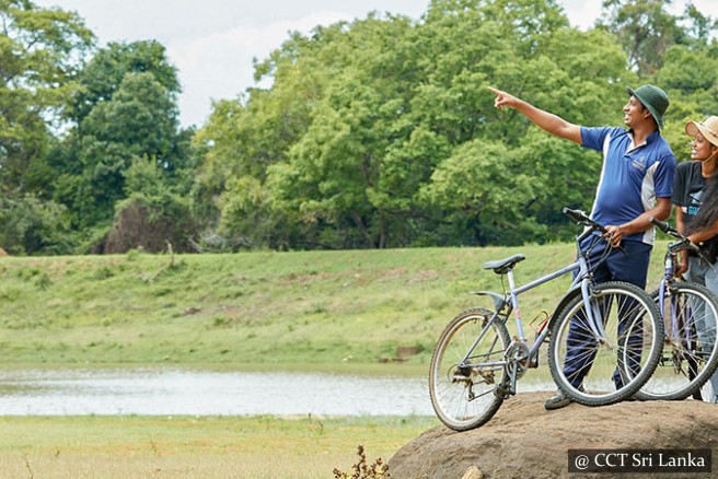 Guided cycling tour across rural villages, wild nature and isolated ancient ruins