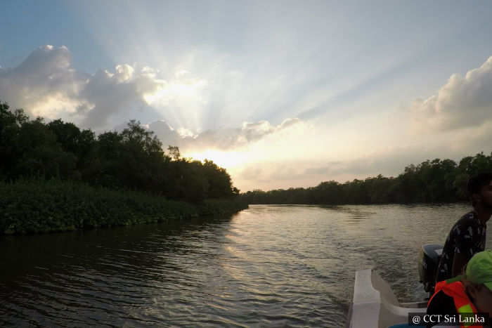 River safaris - From Gangewardiya & Eluwankulama