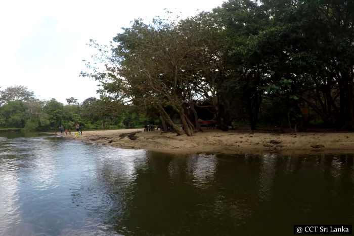 River safaris - From Gangewardiya & Eluwankulama