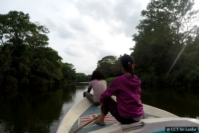 River safaris - From Gangewardiya & Eluwankulama