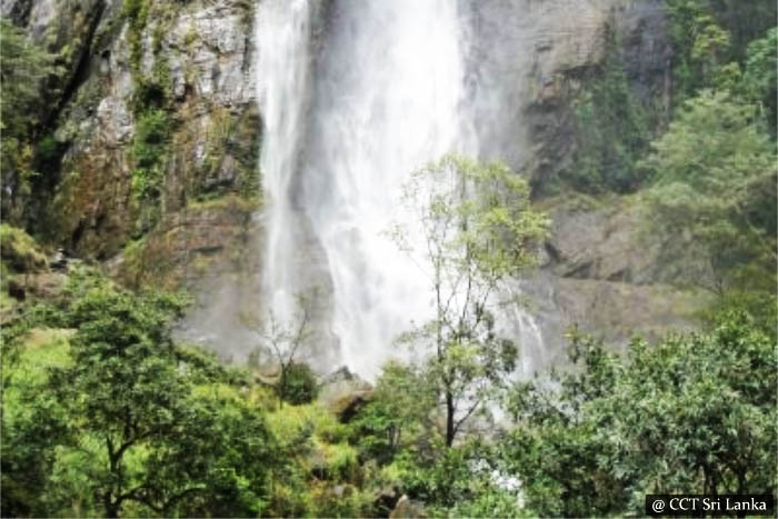 Trek to the top of Diyaluma waterfall